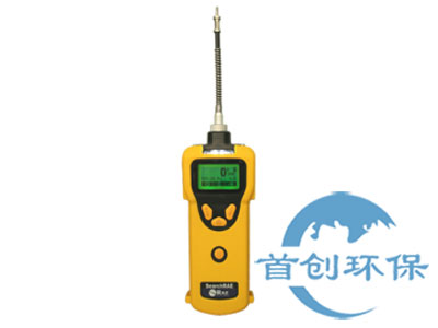 美國華瑞PGM-1600可燃?xì)?毒氣檢測儀