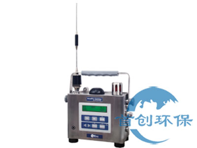 美國華瑞PGM-5520區(qū)域氣體及射線復(fù)合式監(jiān)測儀